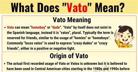 vato meaning in spanish